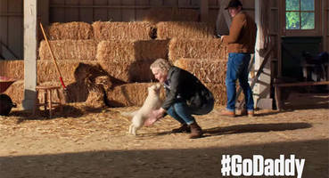 GoDaddy Super Bowl Ad Raises Hackles of Animal Lovers